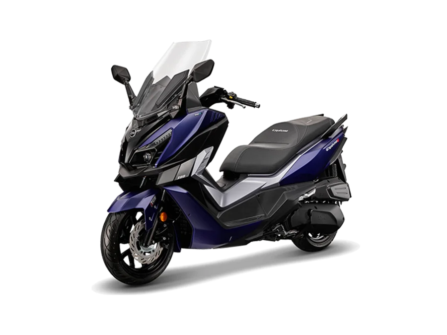 三阳 巡弋 Cruisym300