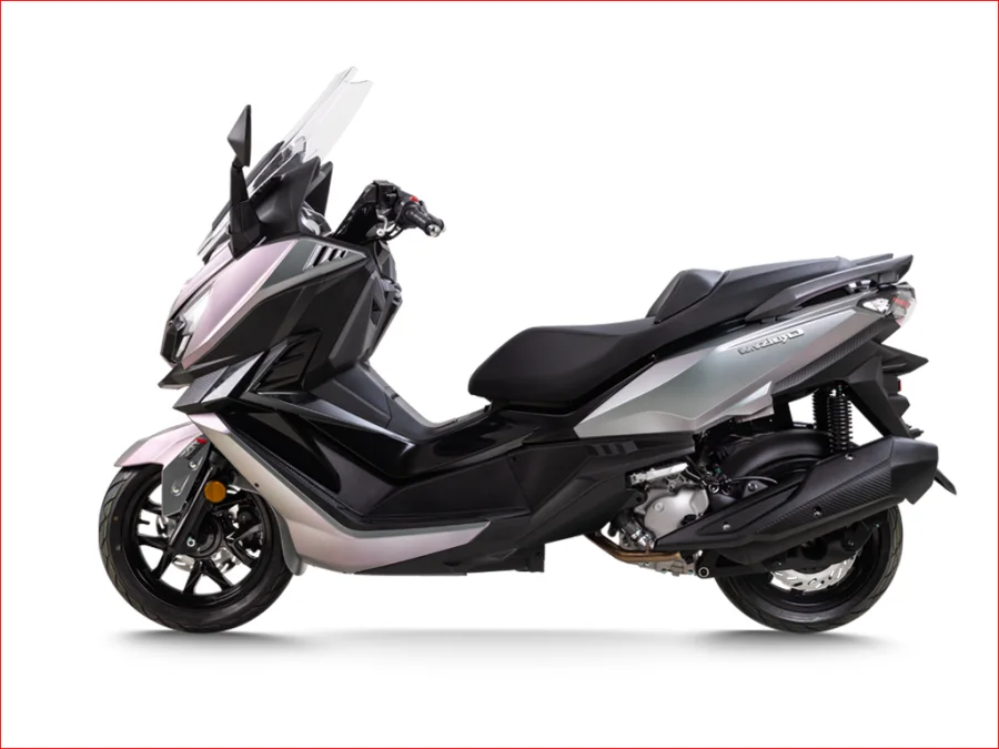 三阳 巡弋 Cruisym250